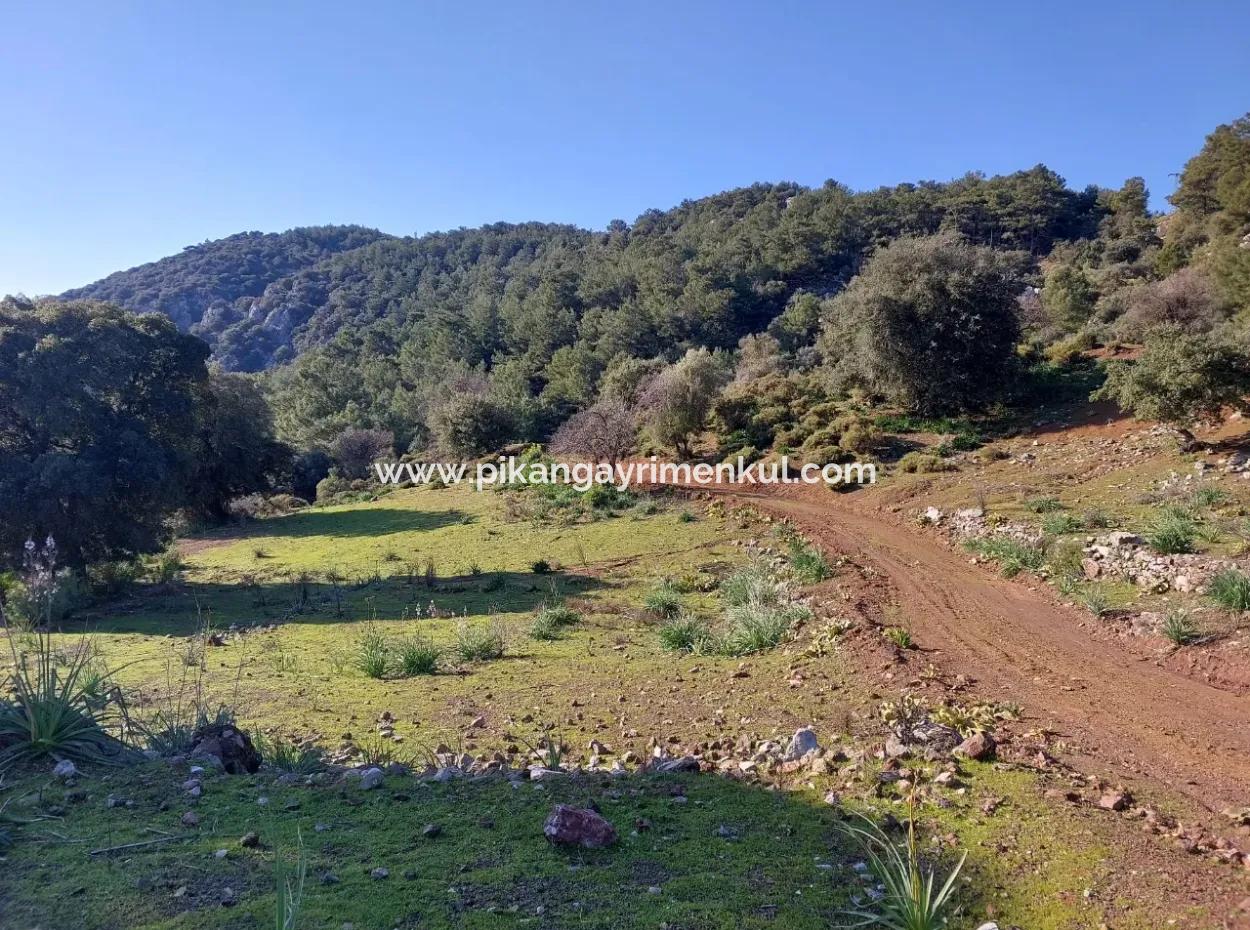 Ortaca Gökbelde Müstakil Tapulu Deniz Manzaralı 28.350 M2 Arazi Satılık