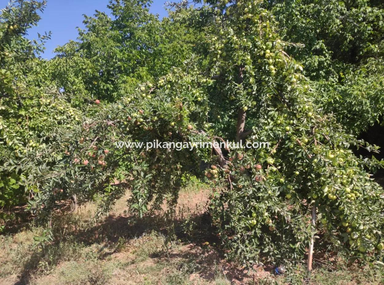 Çameli, Cevizlide 504 M2 Arsada Taş Köy Evi Ve 1042 M2 Müstakil Arsa Satılık