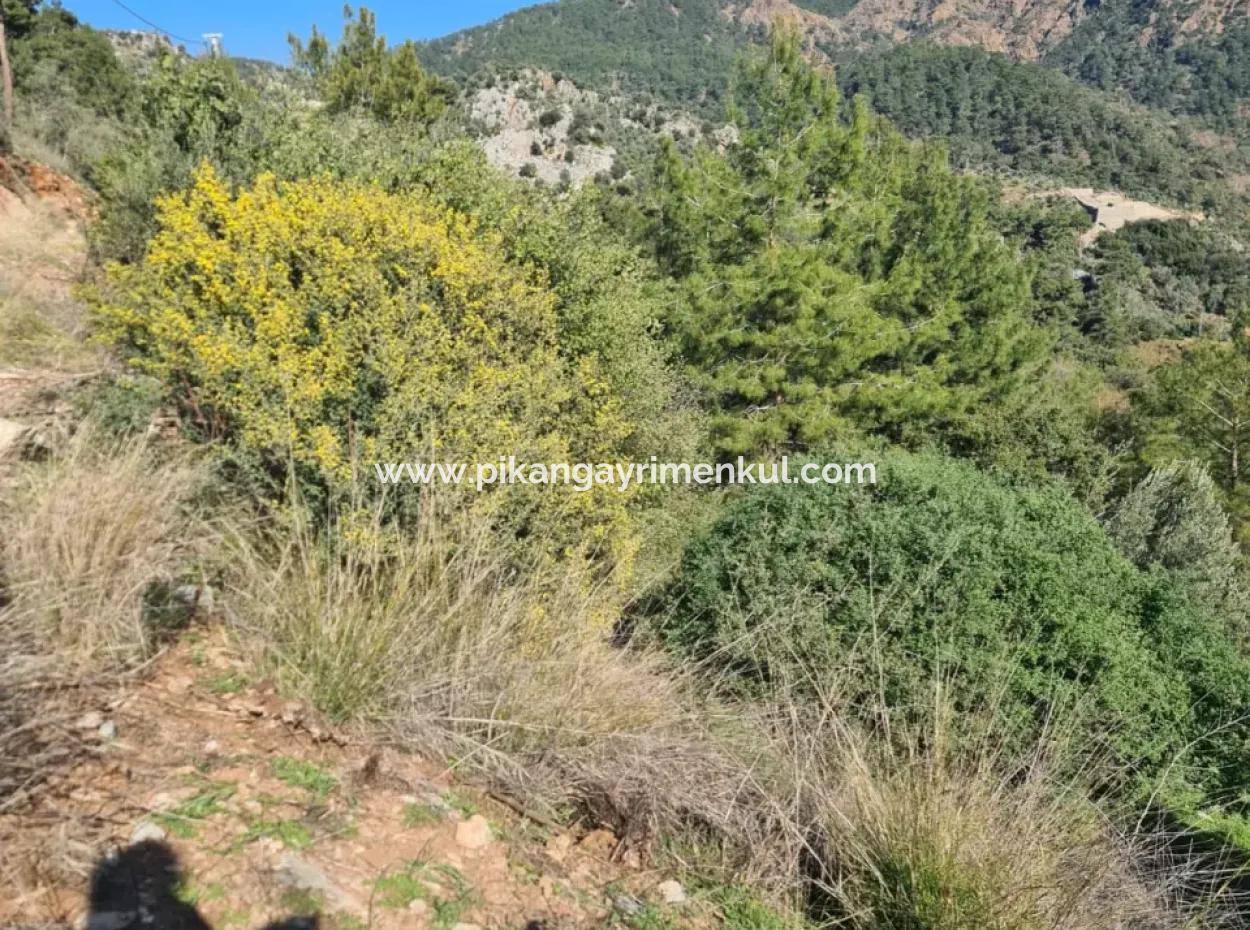 Fethiye İnlicede Deniz Manzaralı 3 970 M2 Müstakil  Arazi  Satılık