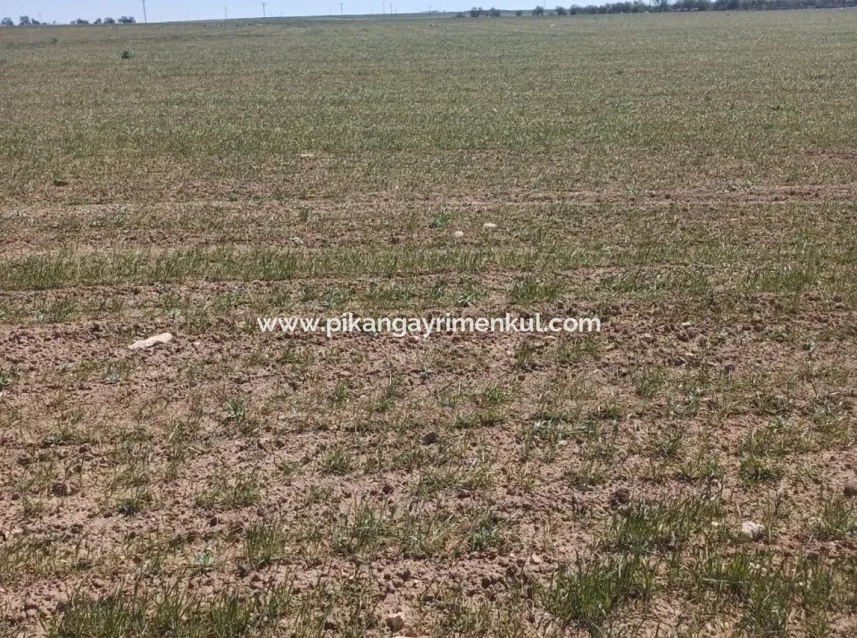 Konya Kadınhanı Başkuyu 650.000 M2 Kelepir Arazi Satılık