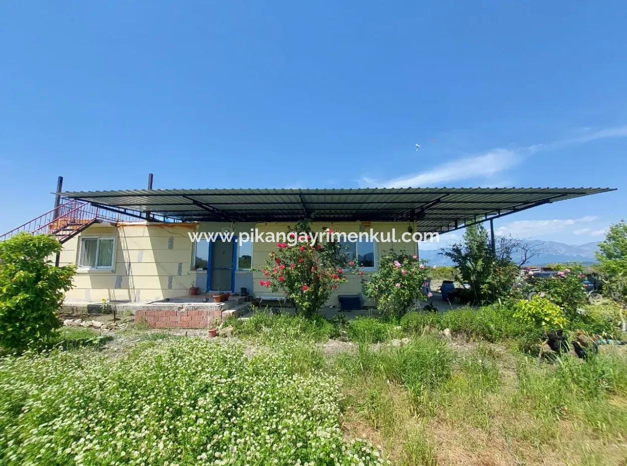 Muğla Ortaca Tepearasında Satılık Müstakil Ev Ve Arazi
