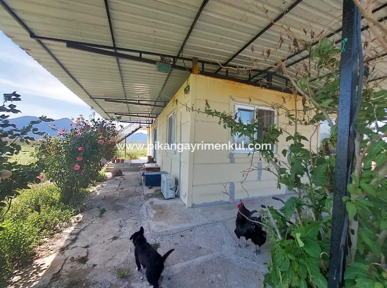 Muğla Ortaca Tepearasında Satılık Müstakil Ev Ve Arazi