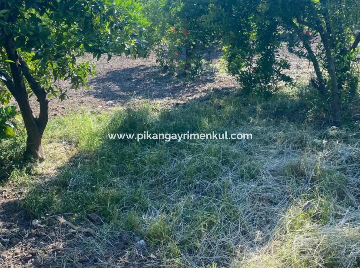Ortaca Kemaliyede  Rızai Taksimli 500 M2 Arazi Acil Satılık