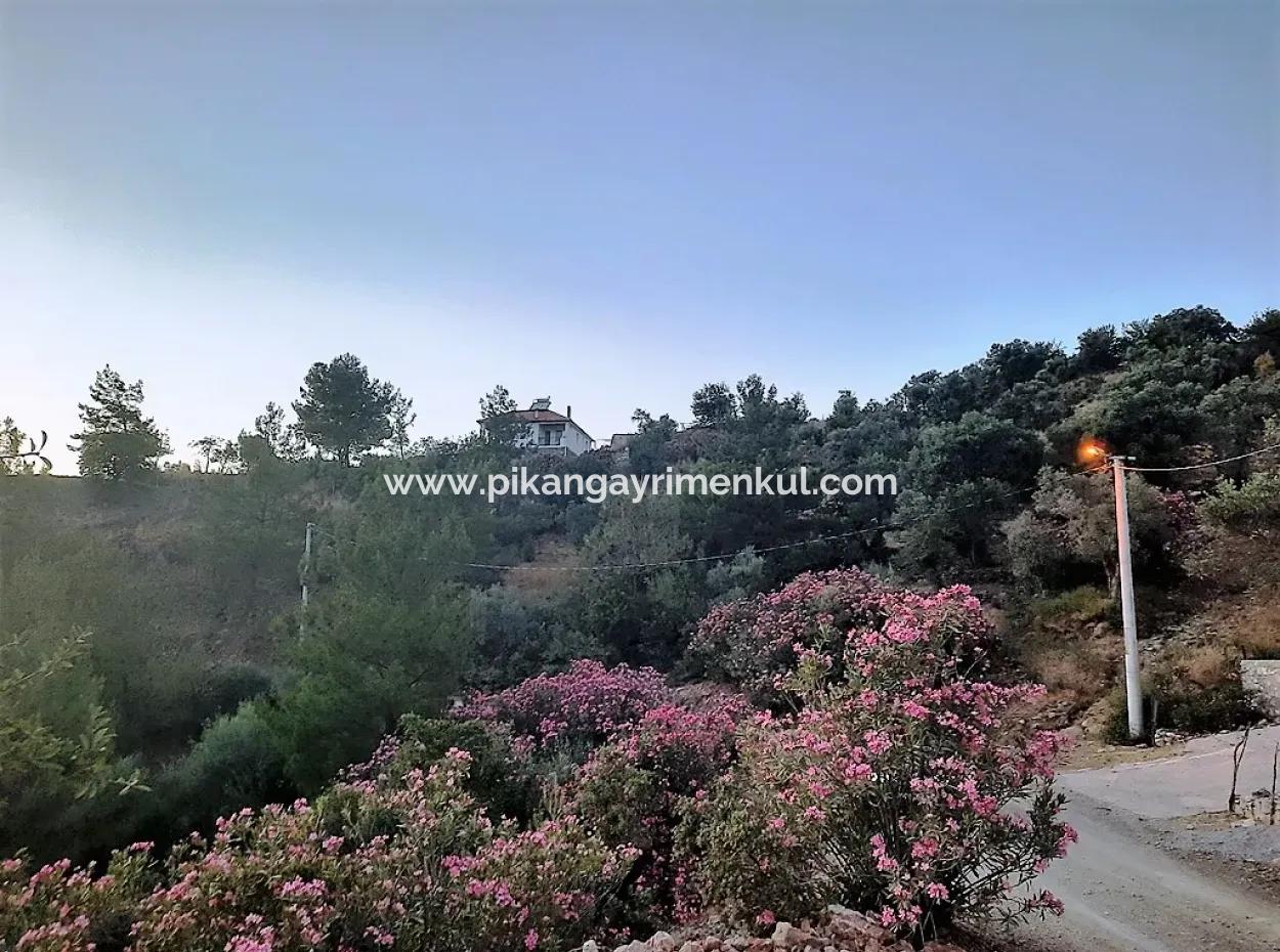 Muğla Ortaca Gökbel De Satılık Müstakil Tapulu 238 M2 Hobi Bahçesi Arazi