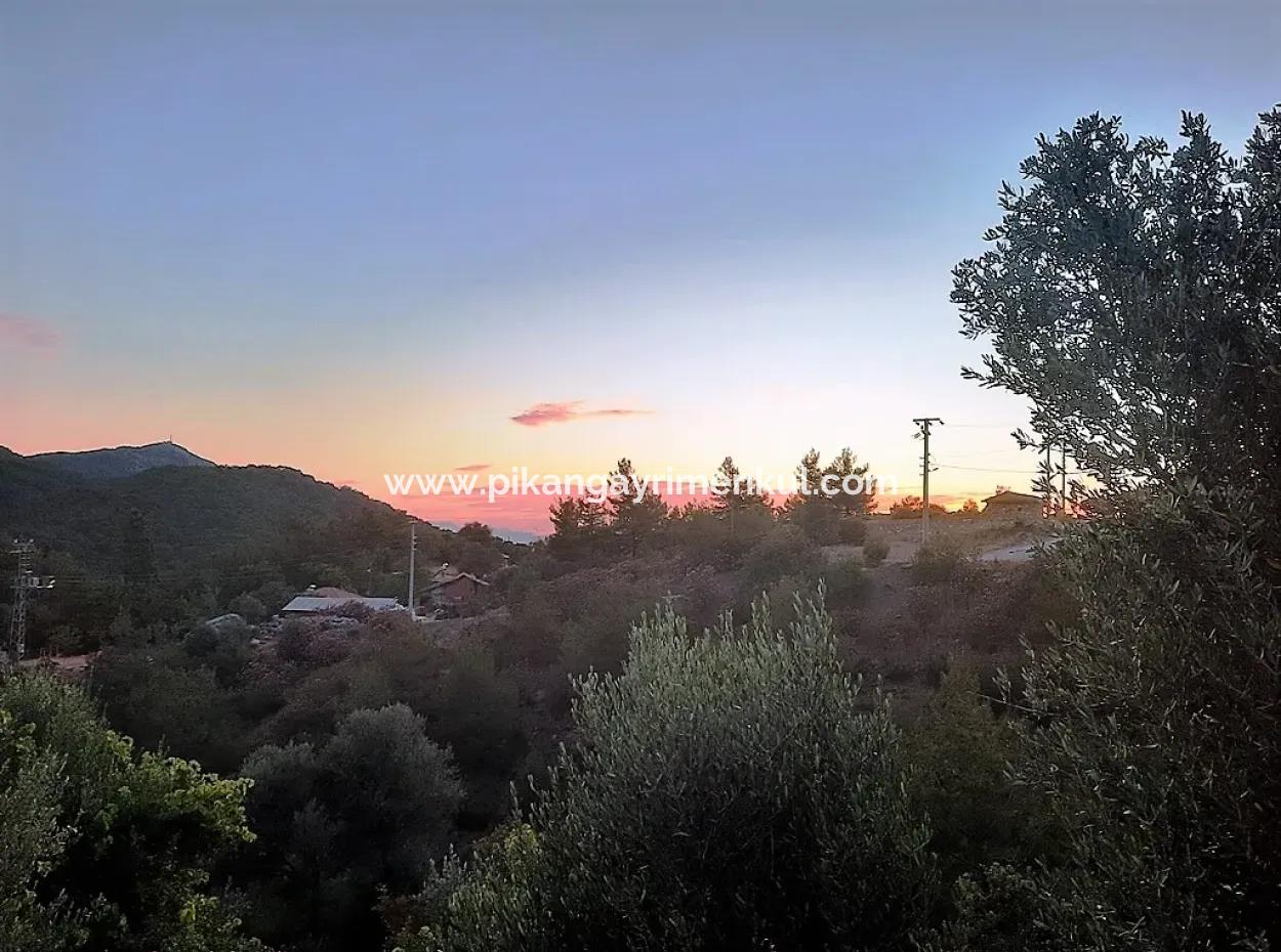 Muğla Ortaca Gökbel’de Satılık Müstakil Tapulu  238 M2 Hobi Bahçesi