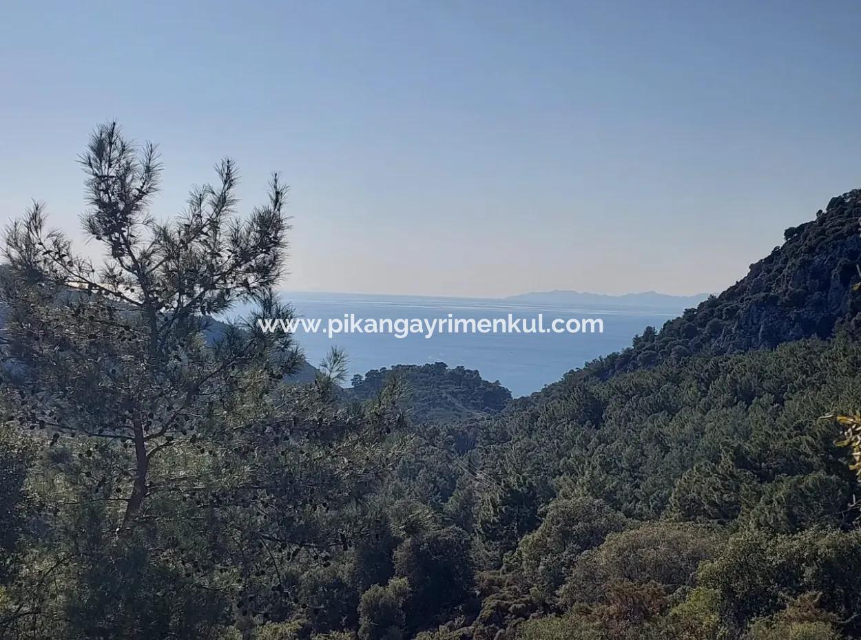Ortaca Gökbelde Müstakil Tapulu Deniz Manzaralı 5.216 M2, 2B Arazi Satılık