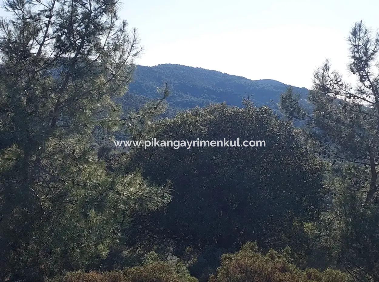 Ortaca Gökbelde Müstakil Tapulu Deniz Manzaralı 5.216 M2, 2B Arazi Satılık