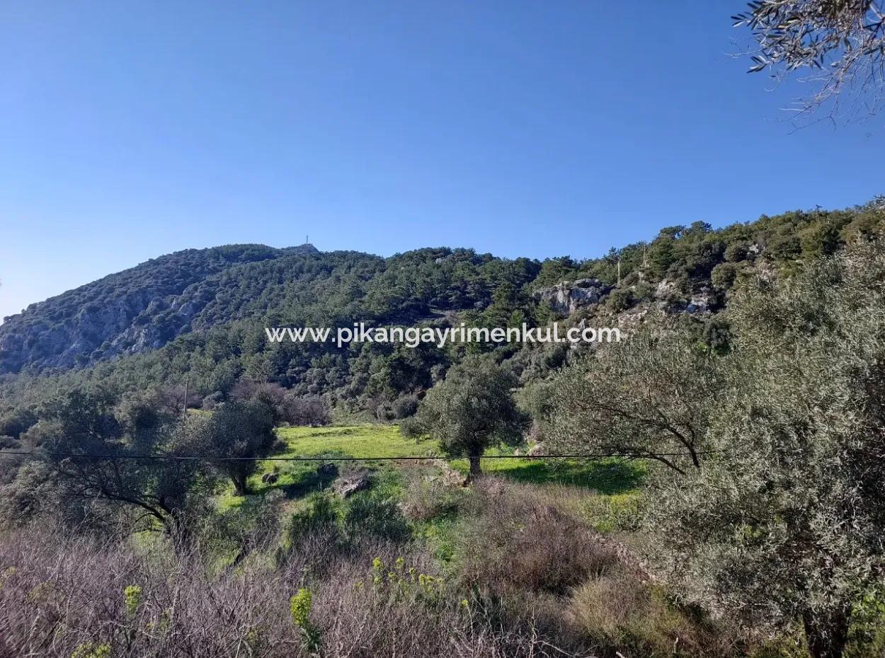 Ortaca Gökbelde Müstakil Tapulu Deniz Manzaralı 5.216 M2, 2B Arazi Satılık