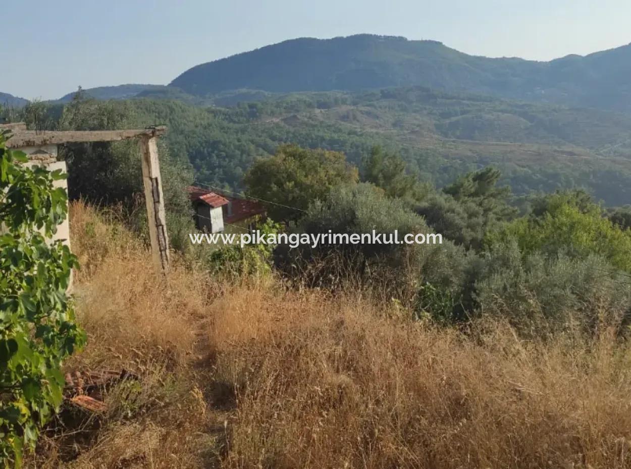 Muğla, Dalaman, Elcik 1 100 M2, Müstakil Arazide, 60 M2 Köy Ev Satılık