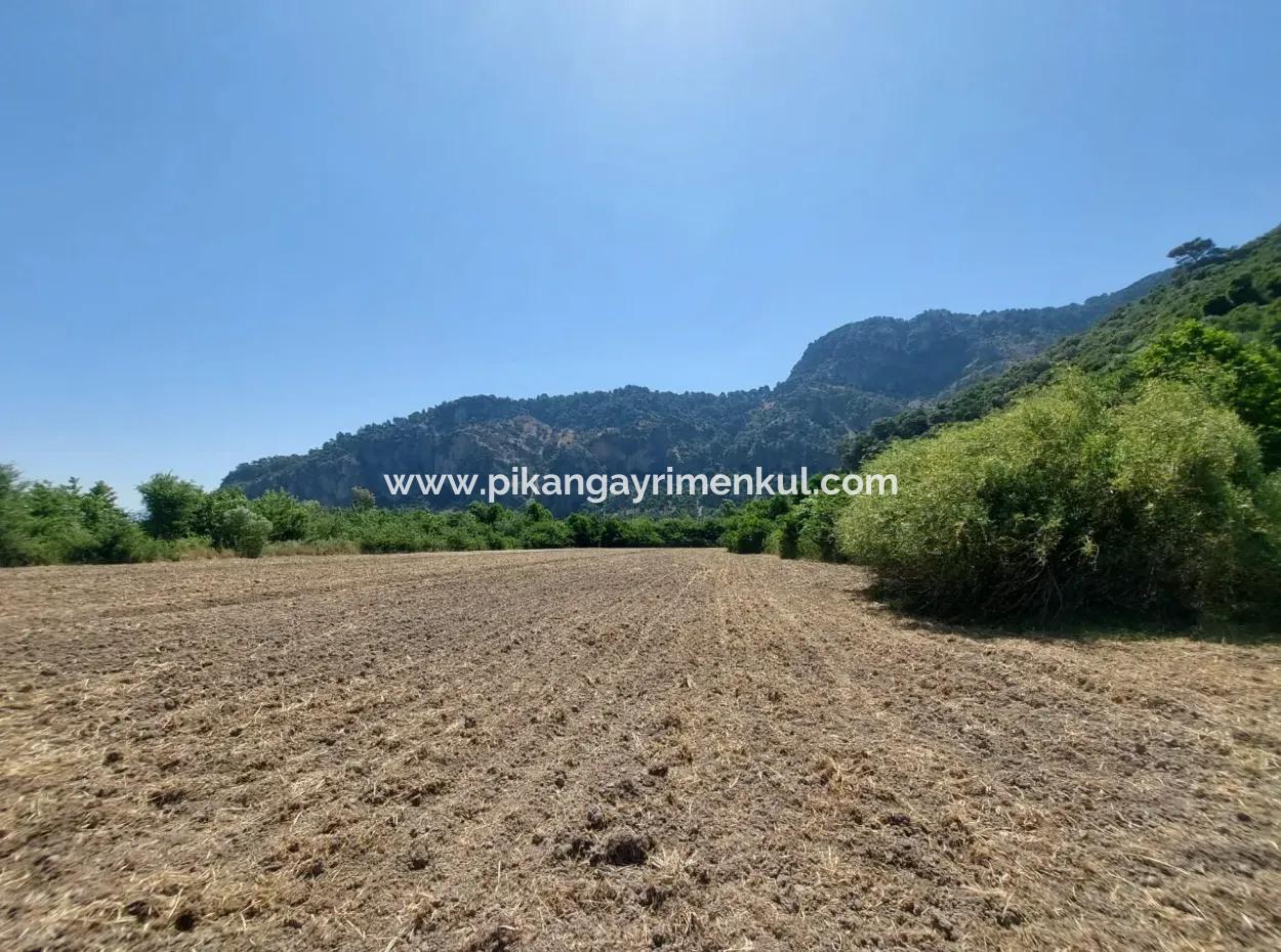 Muğla Okçular Marmarlıda 7 750 M2 İmar Planı İçinde Yatırıma Uygun Kelepir Arsa  Satılık