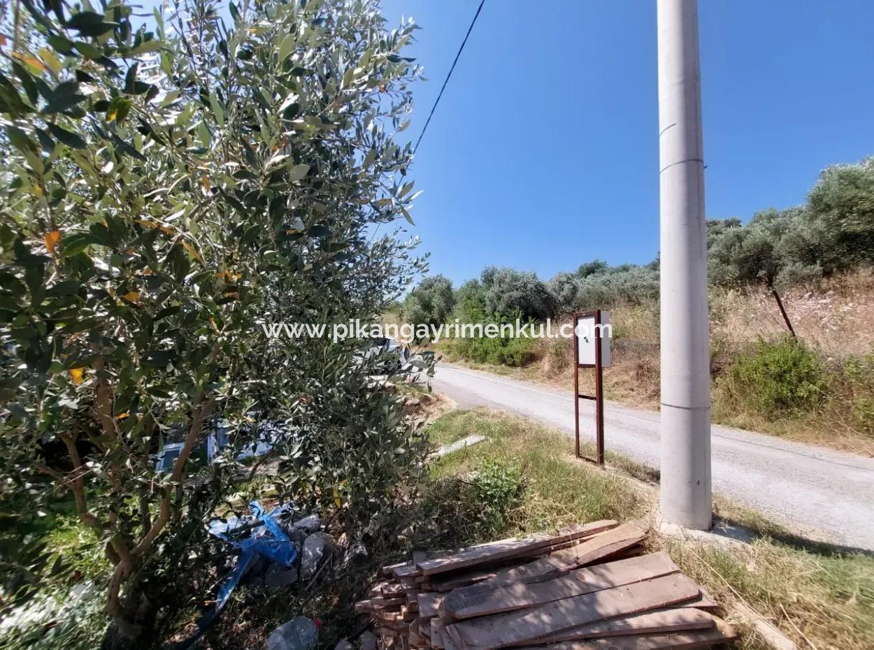 Ortaca Eskiköyde 2.500M2 Hazine Arazisinde Numaratajı Olan Bina İle Devren Satılık