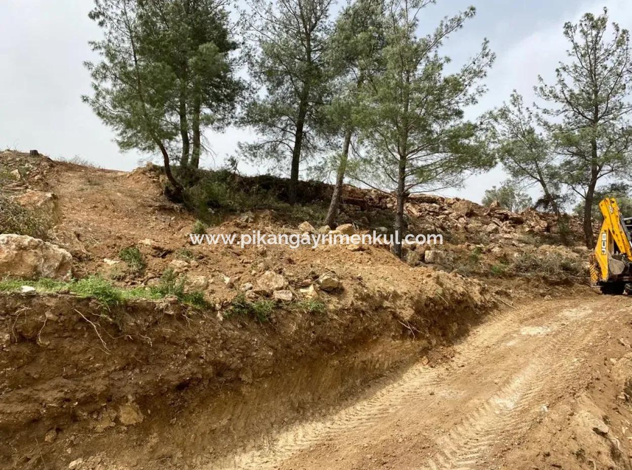 Milas Karacahisarda 2500 M2 Düz Verili Müstakil Arazi Acil Satılık, Teklife Açık