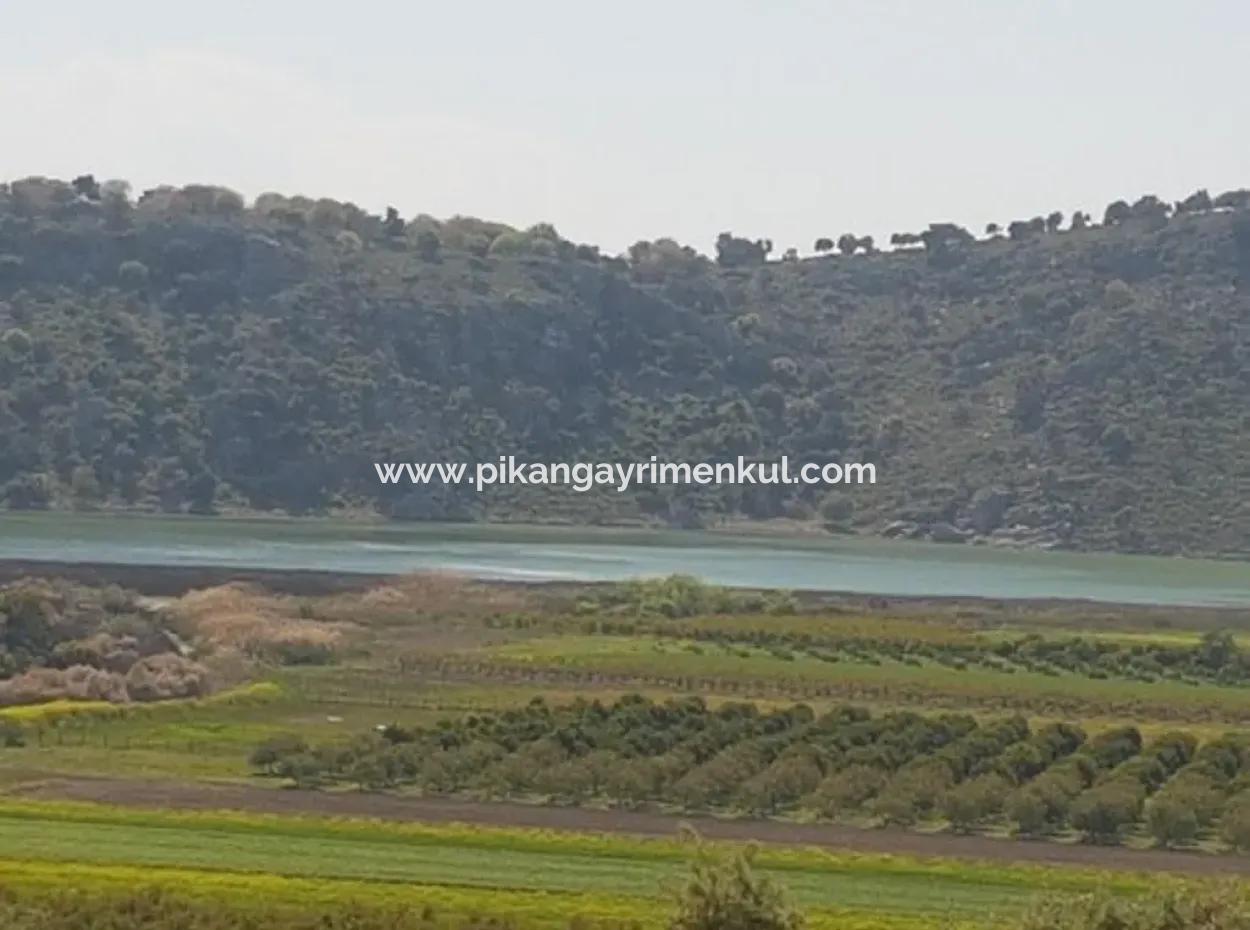 Muğla Dalaman Kapıkargın'da Göle Sıfır Hazine Arazisi – Zilliyet Devri Edilecek 