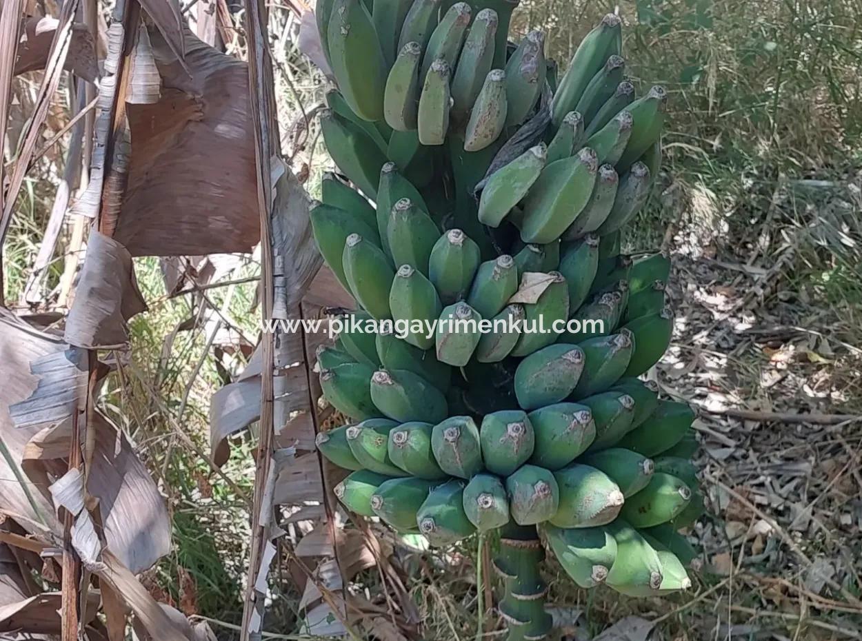 Ortaca Okçular’da İmar Planı İçinde Satılık Köy Evi