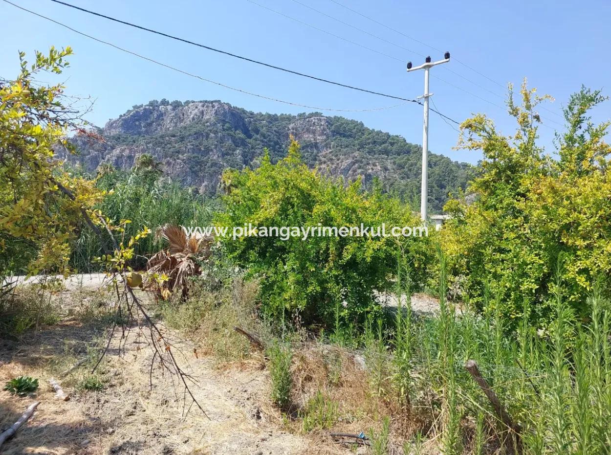 Muğla Dalyan'da İmara Sıfır, Dalyan Kanalına Yakın 2.800 M² Satılık Arazi
