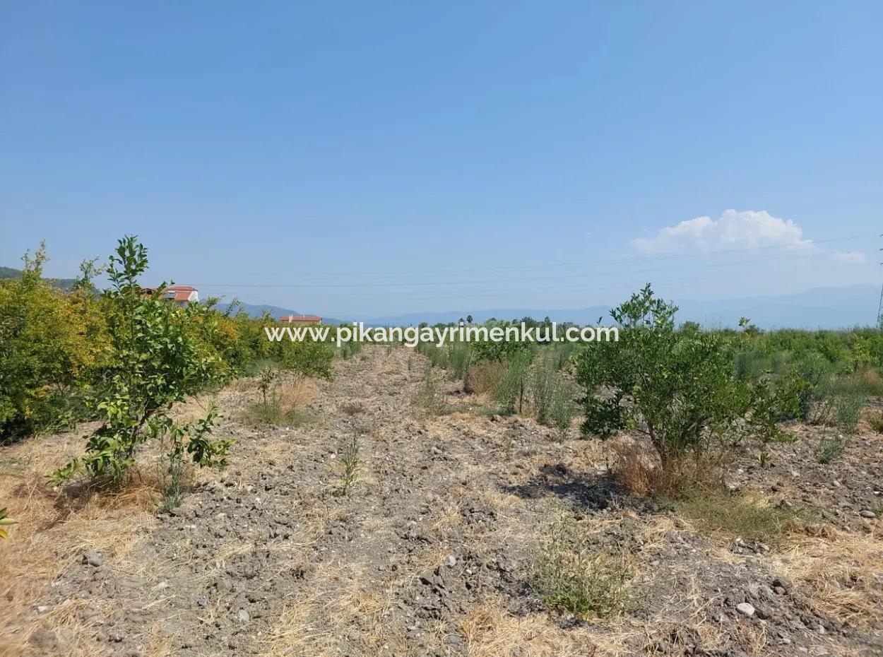 Muğla Dalyan'da İmara Sıfır, Dalyan Kanalına Yakın 2.800 M² Satılık Arazi