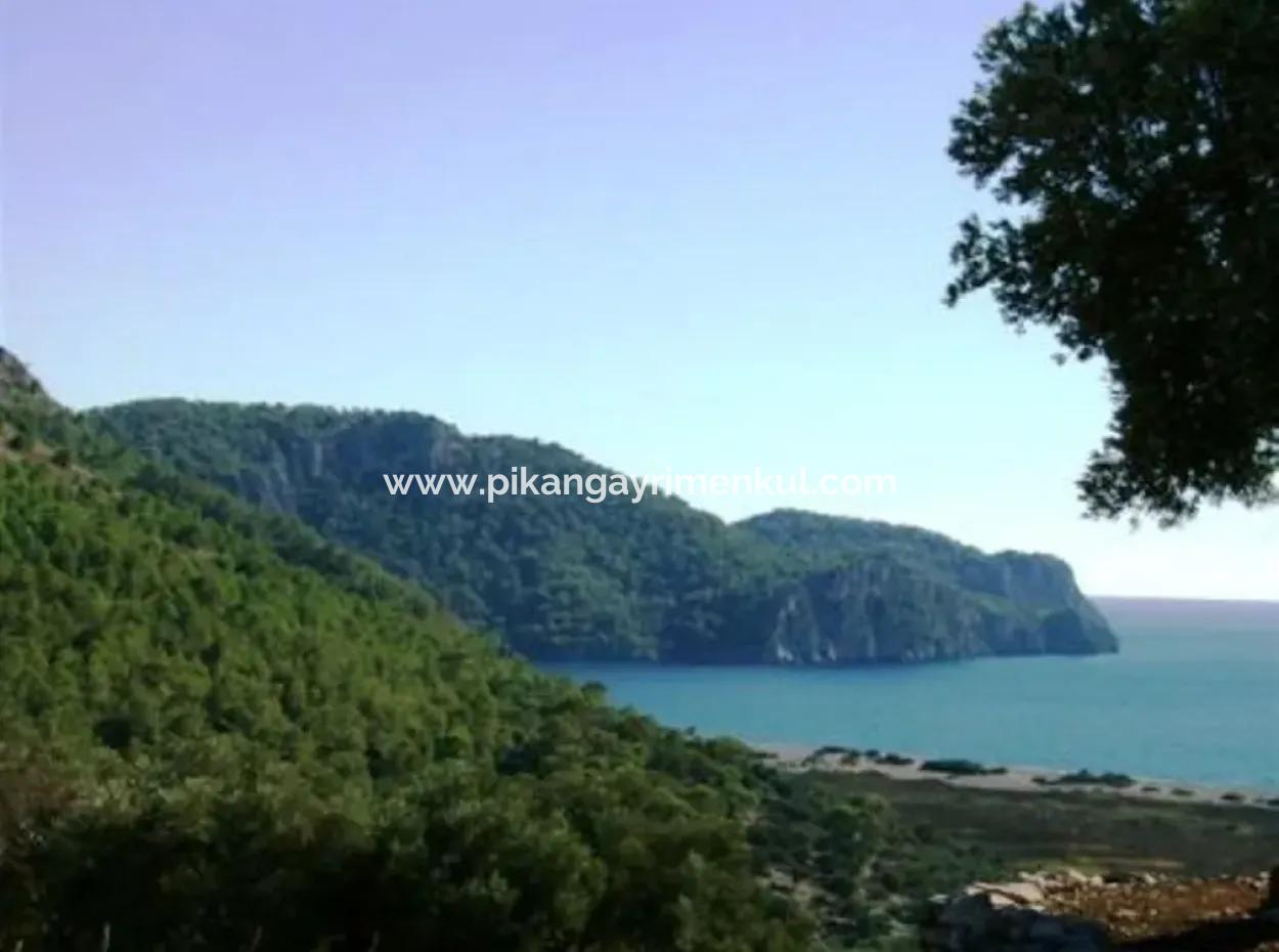 Muğla Dalaman İncebelde Satılık Deniz Ve Göl Manzaralı Arsa