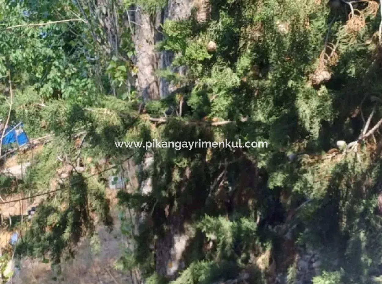 Denizli Çameli Gökçeyaka’da 750 M² Arazide 2 Katlı Taş Ev Satılık