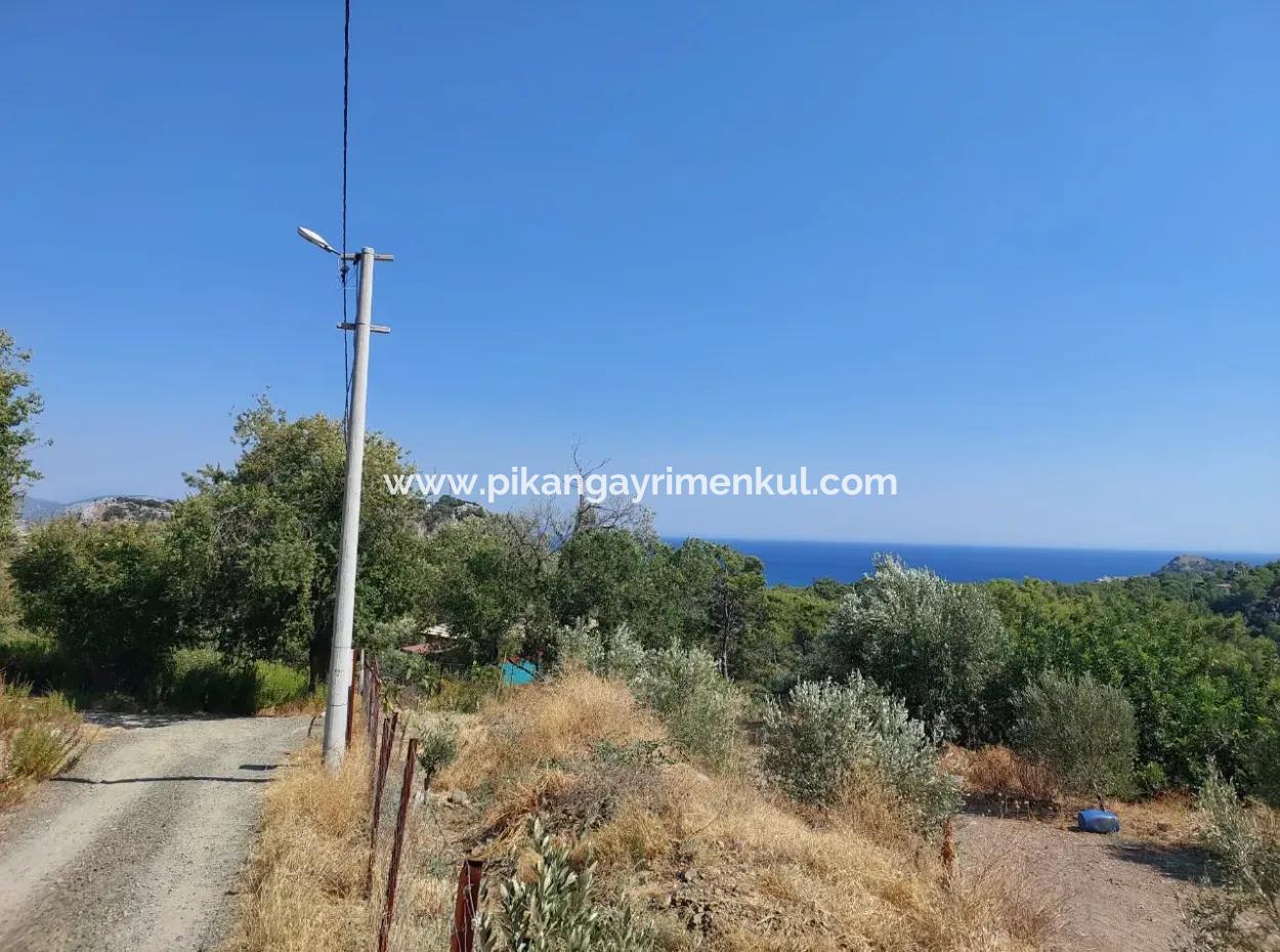Ortaca Sarıgerme Deniz Manzaralı 2 225 M2 2 Müstakil Parsel Satılık