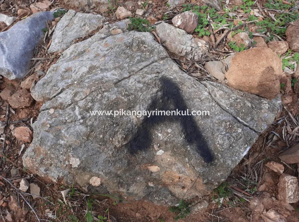 Muğla Ortaca Dalyan Gökbel De 3 100 M2 Hazine Arazisi Zilliyet Hakkı Devir Edilecek