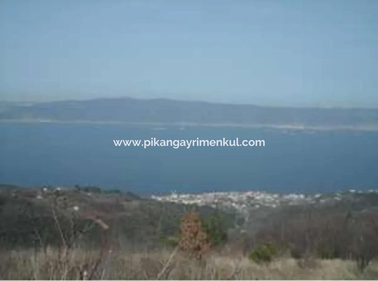 Kocaeli Ereğli’de 7.534 M² Deniz Manzaralı Yatırımlık Fırsat Müstakil  Arazi Satılık