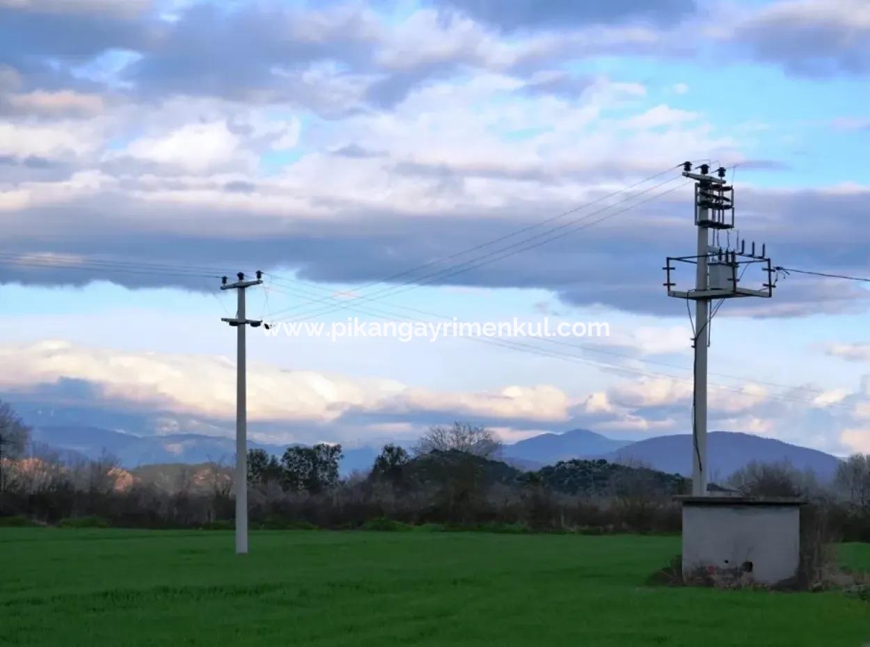 Ortaca Mergenlide Satılık Müstakil Verimli Kelepir Arazi