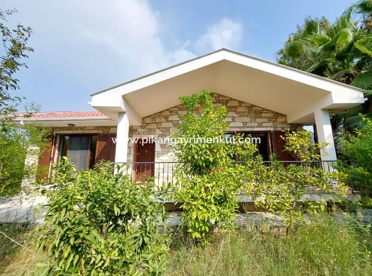 Muğla Dalyan’da Turizm Yatırımına Uygun 3.500 M² Arazide Evler Satılık