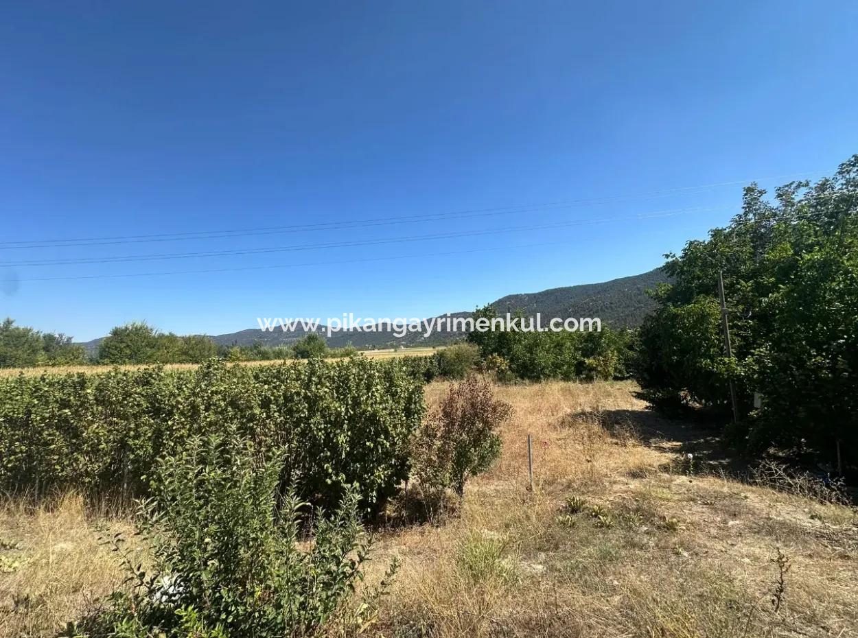 Denizli Çamelide Anayol Kenarı 3070 M2 Ceviz Bahçesi Satılık