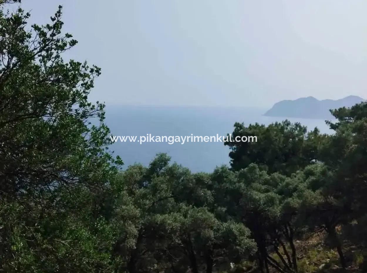 Muğla Köyceğiz Çandır’da 20.000 M² Deniz Manzaralı 2B Arazi Kullanım Hakkı Devren