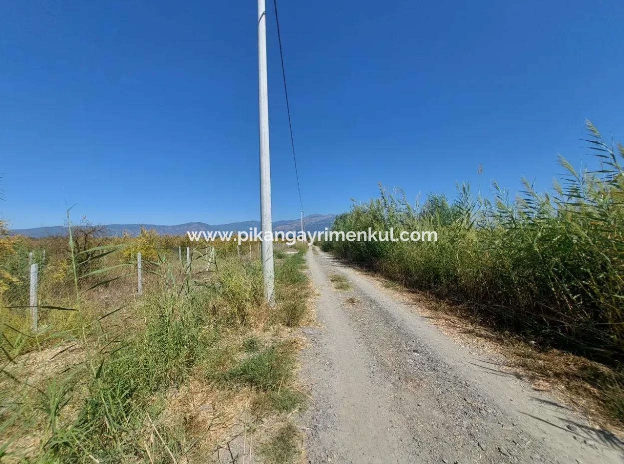 Ortaca Tepearasında  8126  M2 Yatırım Ve Zirayi Krediye Uygun Nar Bahçesi Satılık