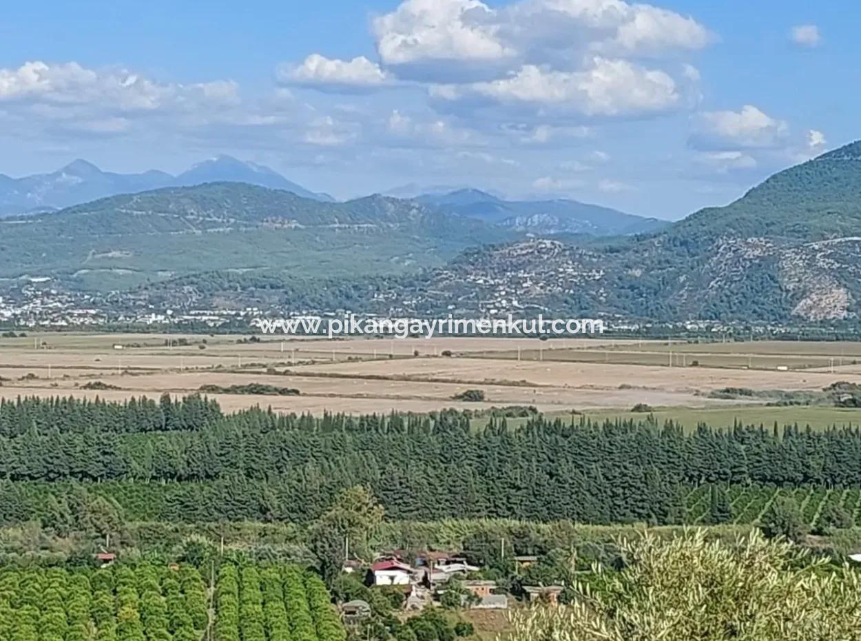 Ortaca Fevziyede Deniz Ve Doğa Manzaralı  Kelepir Müstakil Zeytinlik Satılık