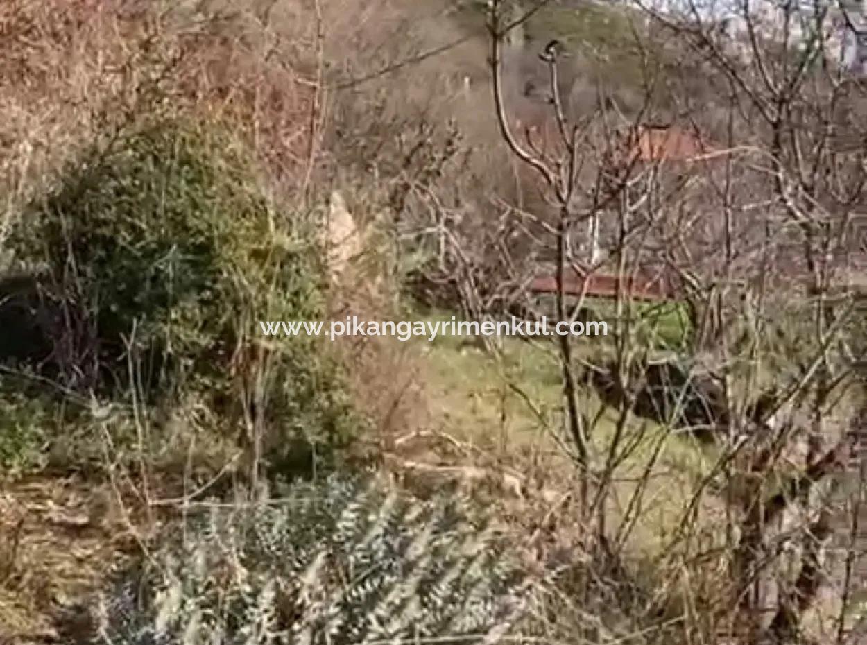 Mugla Menteşe Zeytinköy De 200 M2 Konut İmarlı  406 M2  Arsa Satılık