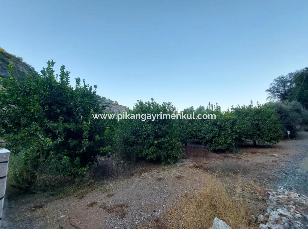 Muğla, Ortaca, Karadonlar Da 1.300 M2 Müstakil 250M2 Konut İmarlı Arsa Satılık