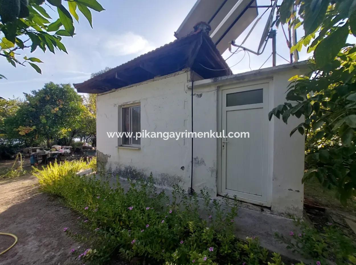 Köyceğiz Çandır Dalyan Kanalına Sıfır 865 M2 Ev Ve Restaurant  Satılık