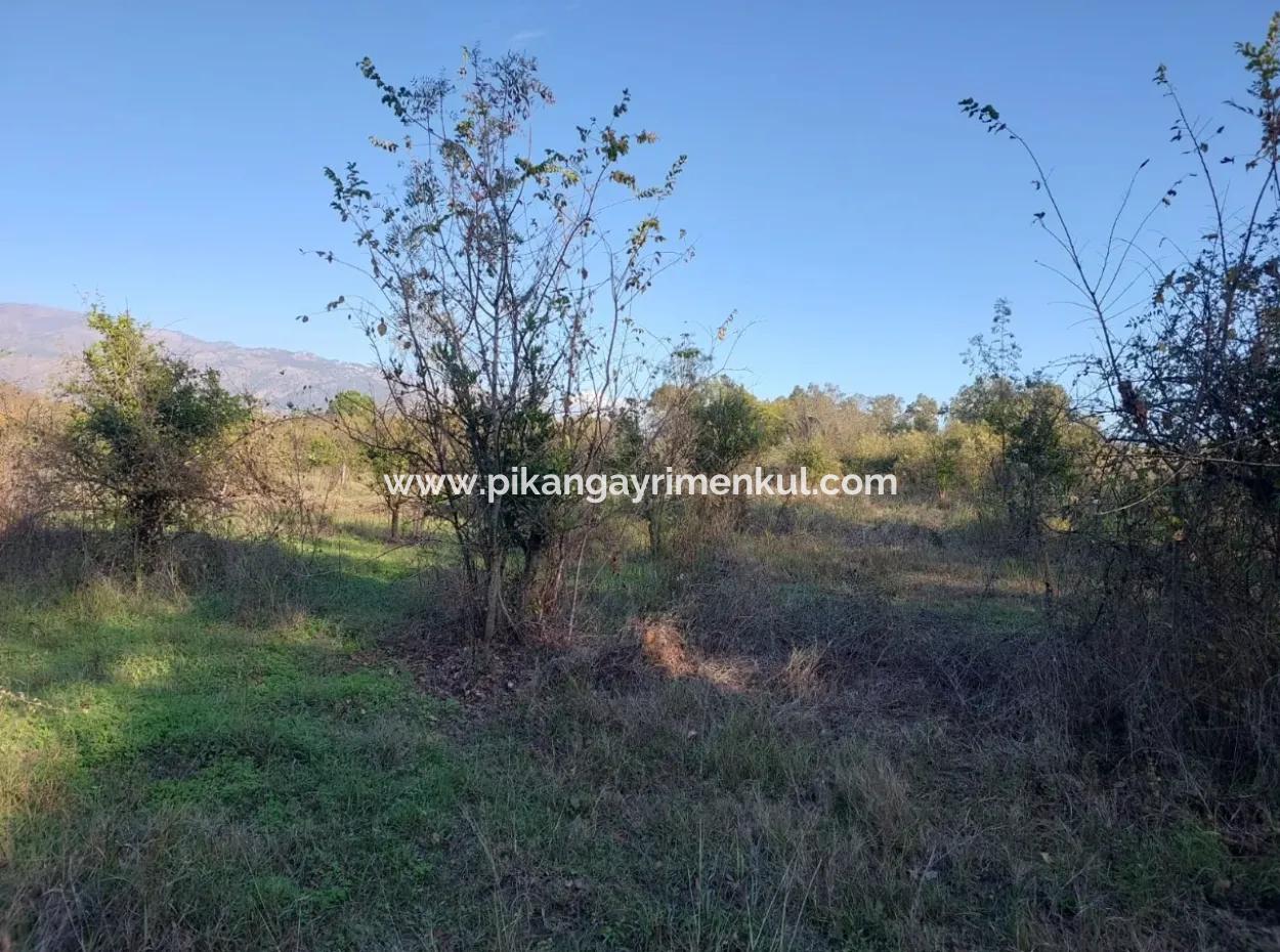 Köyceğiz Toparlar Da  Göle Yakın 9 600 M2 Arazi Satılık