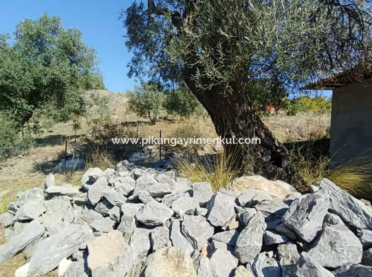 Ortaca Gökbel De  763 M2 Arazide, Kaba İnşaat 1+1 Prefabrik Ev Satılık