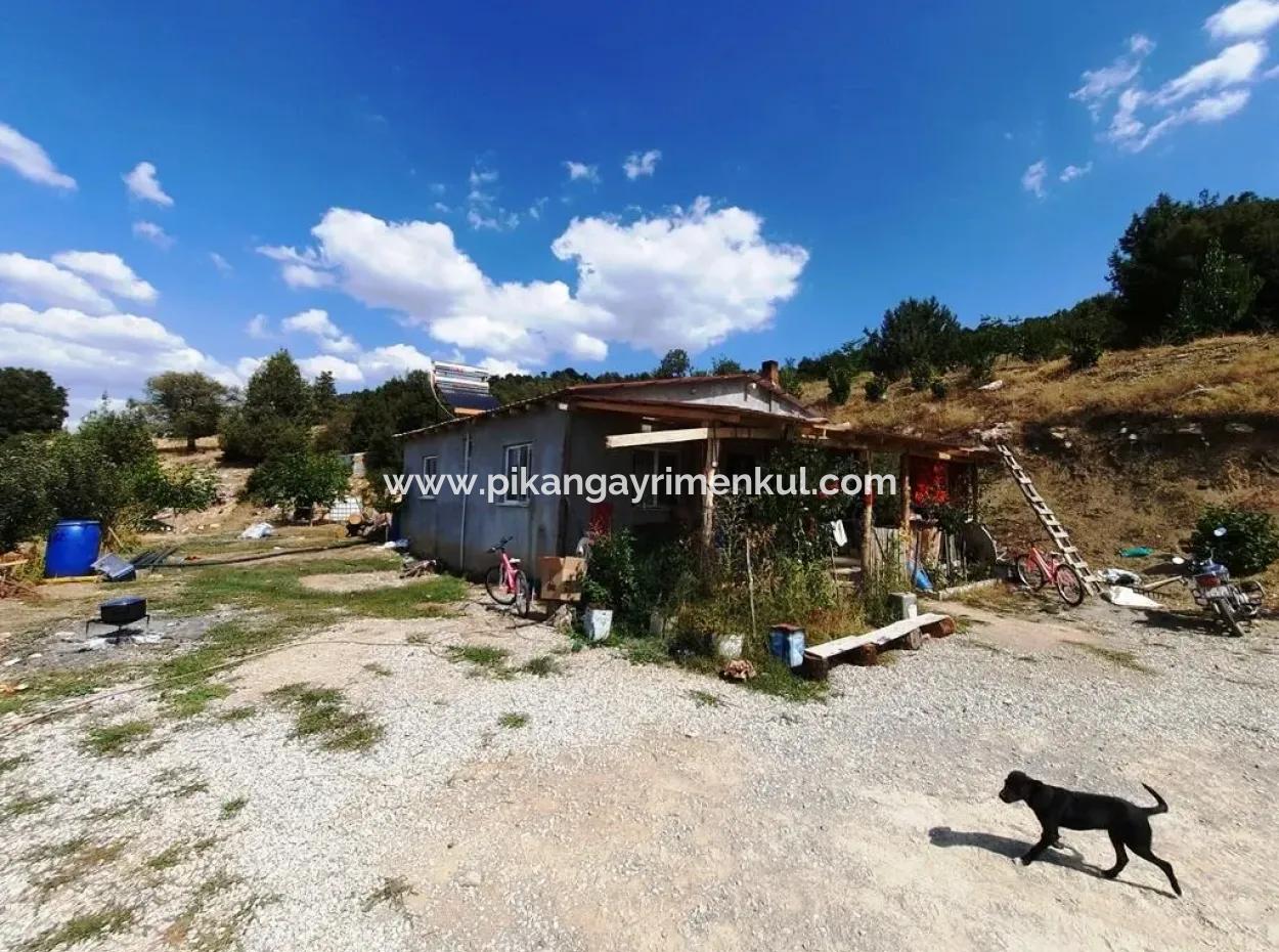 Çameli Kızılyakada 5 000 M2 Müstakil Arazide 2+1  Ev Ve  200 M2  Ahır Satılık