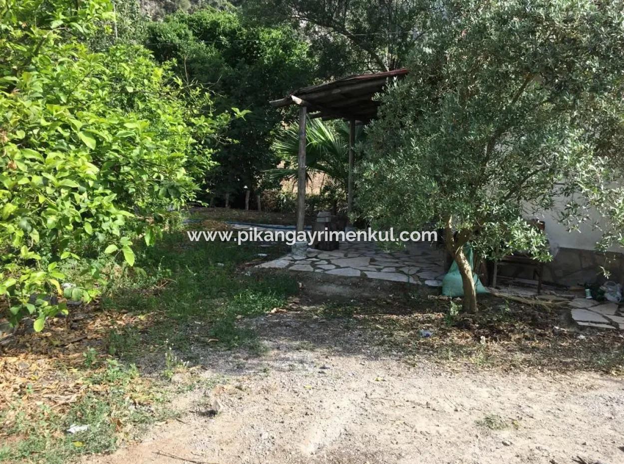 Muğla Ortaca Okçularda Eşyasız Kiralık 2+1 Bahçeli Köy Evi