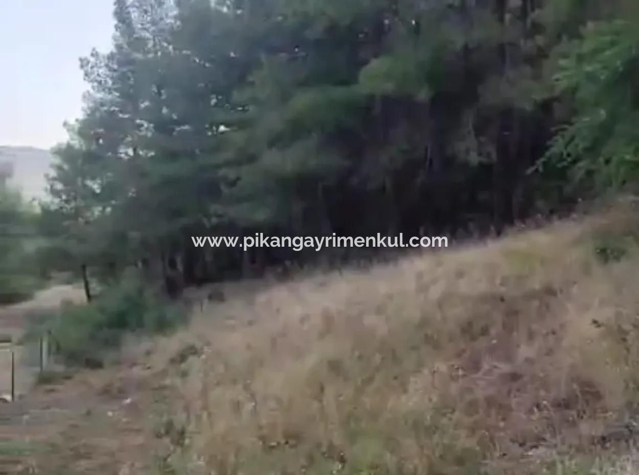 Muğla Ula  Kızılyaka 790M2 Hazine Arazisi Zilliyet Hakkı Devir Edilecek Veya  Araç Takas Olur