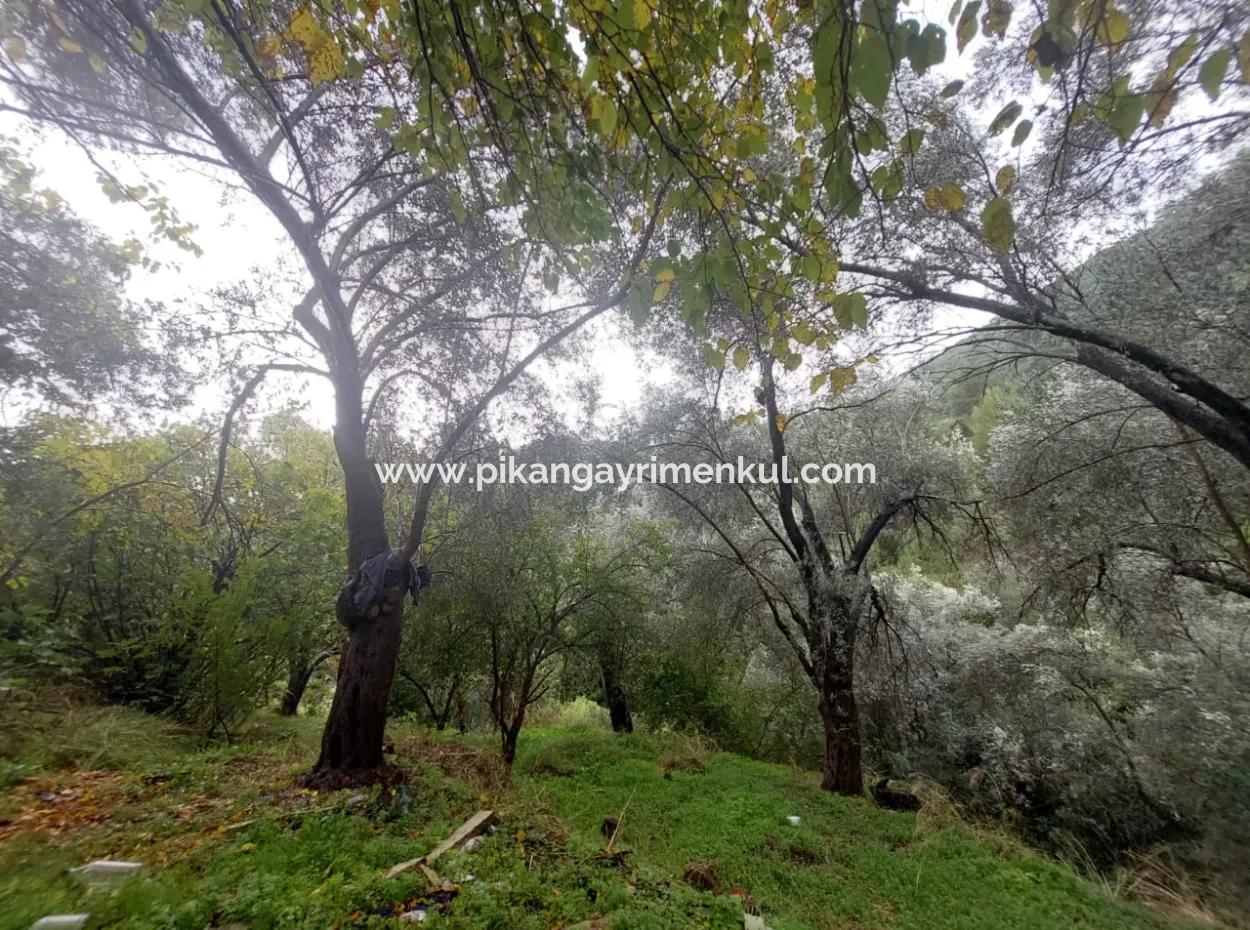 Muğla Fethiye İnlice’de Doğa İçinde Satılık Tapulu Köy Evi