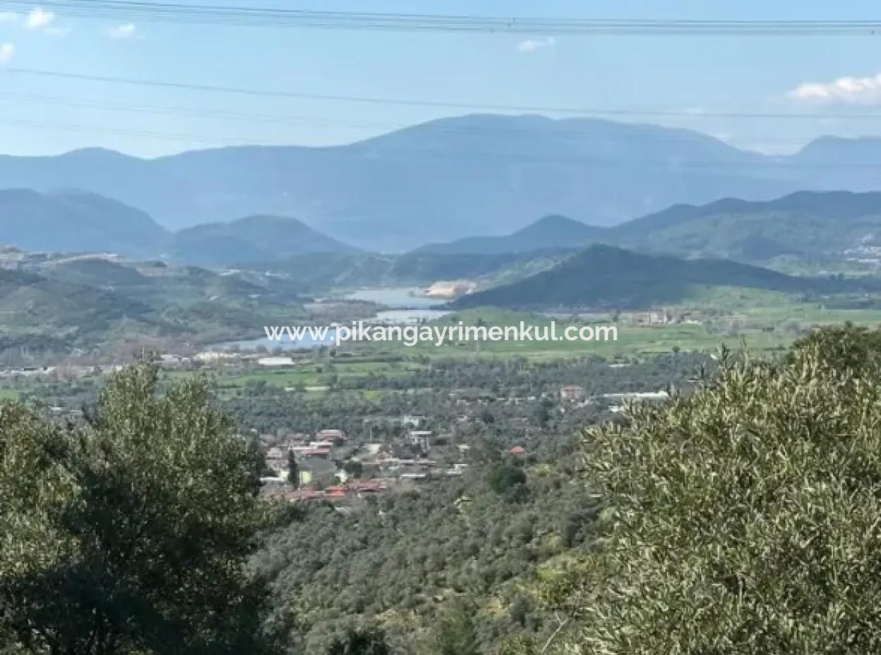 Muğla Milas Da 5 800 M2 Tek Tapu Müstakil Parsel Arazi Satılık