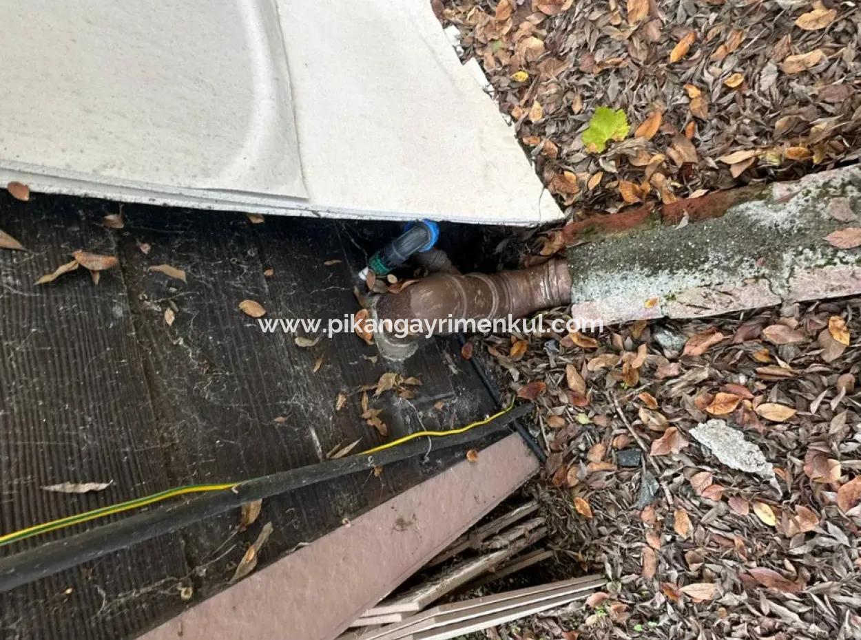 Ortaca Yeşilyurt Da 12 000 M2 Tarla Satılık