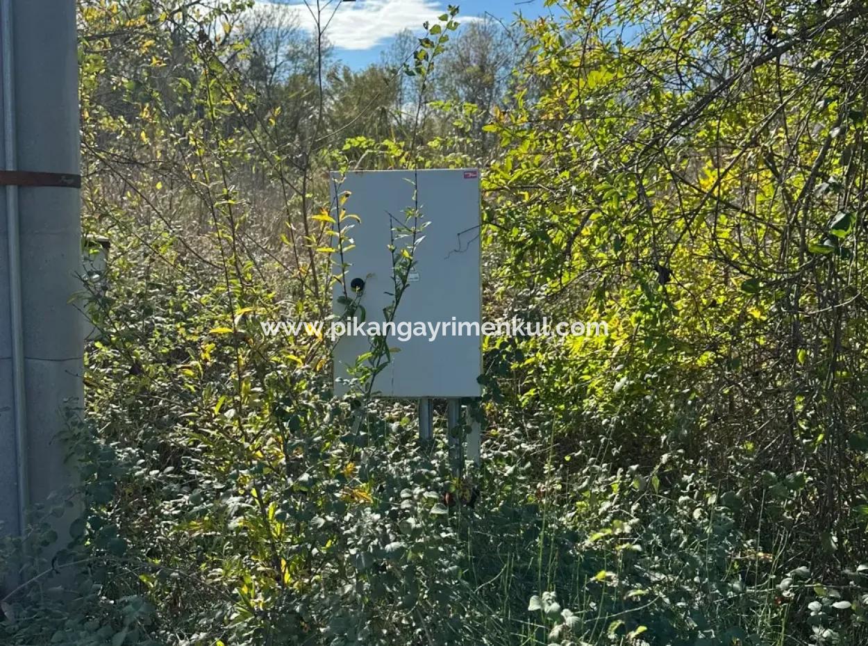 Ortaca Yeşilyurt Da 12 000 M2 Tarla Satılık