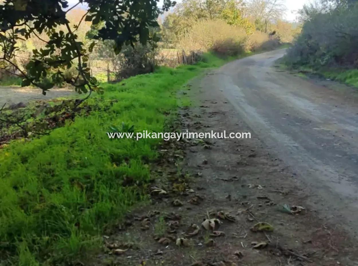 Muğla Ula Karabörtlende Kelepir 6 000 M2 Arazi Satılık