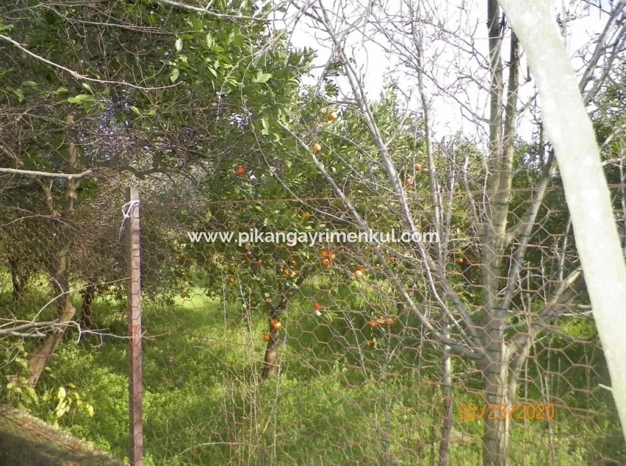 Toparlarda Satılık Yola Sıfır İmarlı Arsa