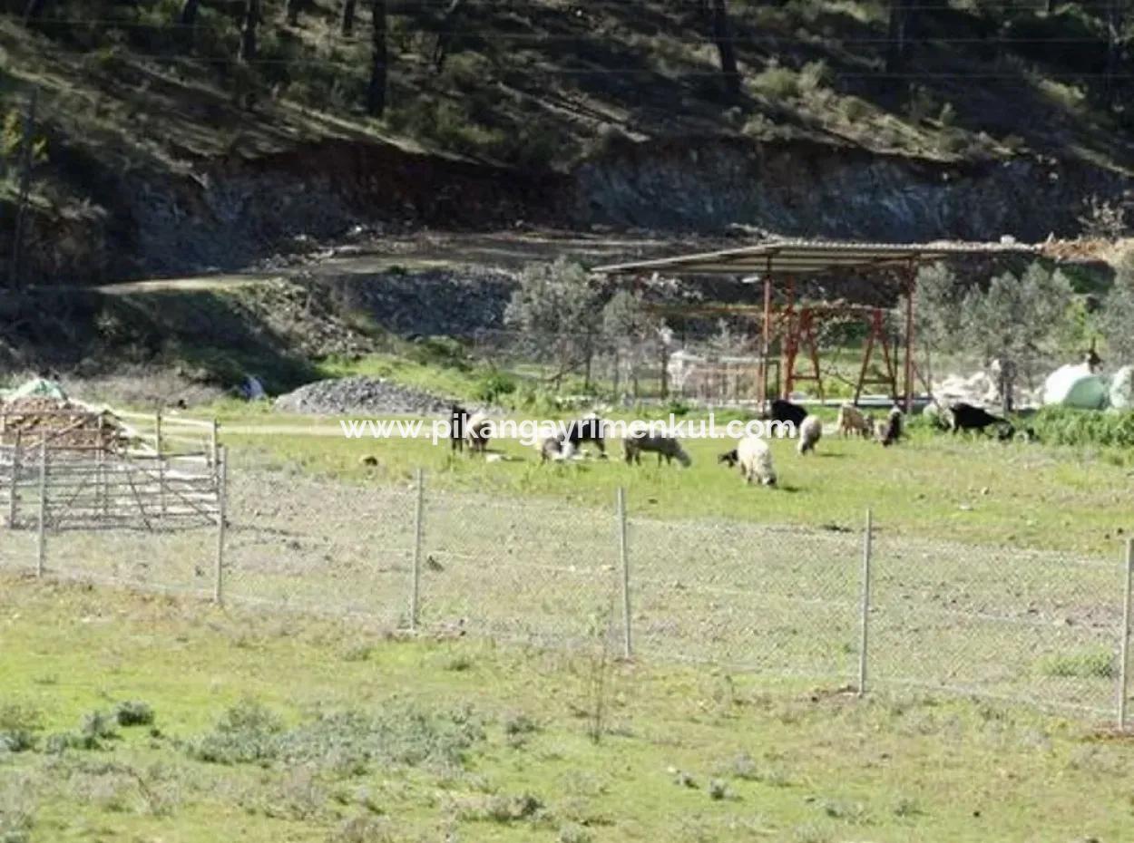 Ortaca Gölbaşında 10,000 M2 Yatırıma Uygun Arazi Satılık