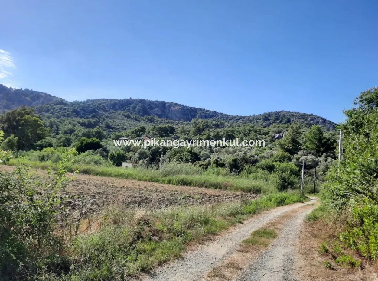 Ortaca Fevziye De Satılık Yola Sıfır Arazi