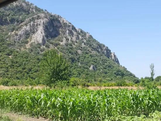 Dalyan Okçular Marmarlıda 1 900 M2, İmar Planı İçindeki Arazi Satılık
