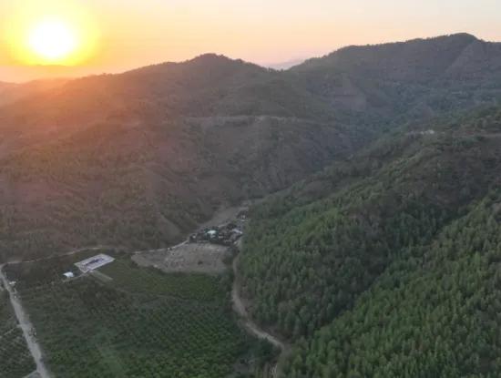 Ortaca Çaylı’da 150 M² İnşaat Hakkı Olan Müstakil 5.000 M² Limon Bahçesi Satılık Veya Takas