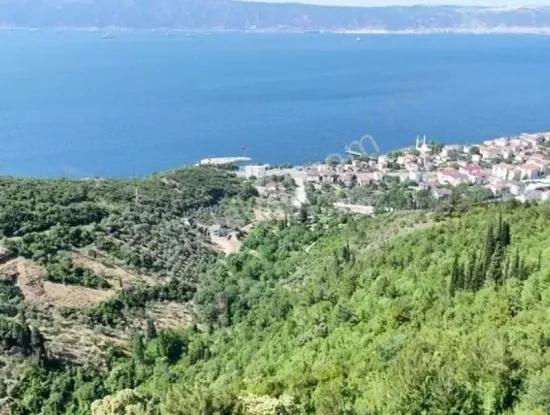 Kocaeli Ereğli’de 7.534 M² Deniz Manzaralı Yatırımlık Fırsat Müstakil  Arazi Satılık